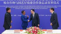 Investasi Hilirisasi Sulawesi Tengah Sichuan