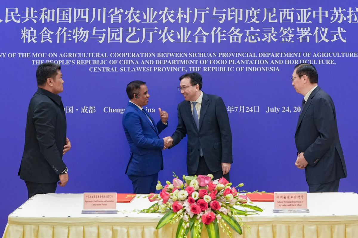 Investasi Hilirisasi Sulawesi Tengah Sichuan