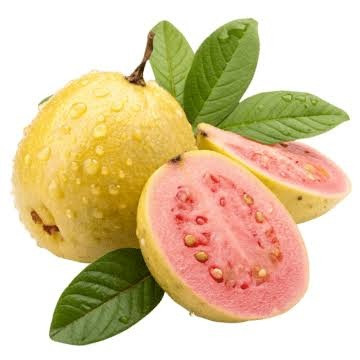 manfaat jambu biji