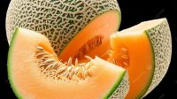 manfaat buah melon