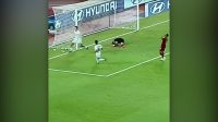 selebrasi Nguyen Hai Long lencana AFF