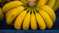 sarapan pisang setiap hari