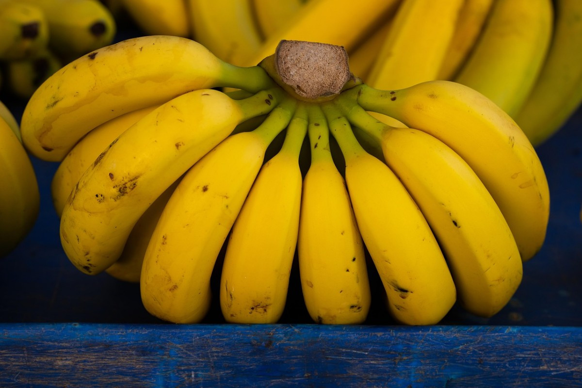 sarapan pisang setiap hari