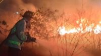 kebakaran lahan kosong Talise Palu