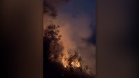 Kebakaran Hutan Bromo
