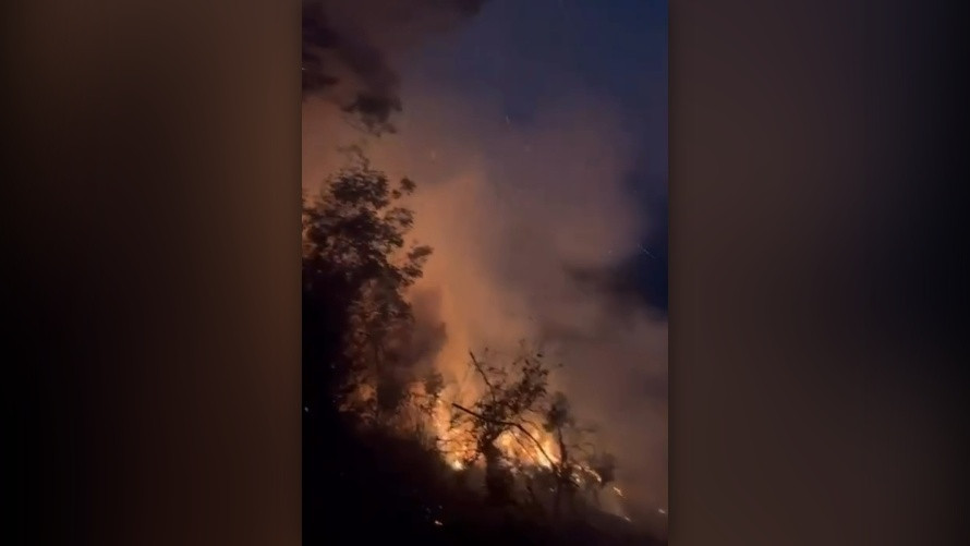 Kebakaran Hutan Bromo