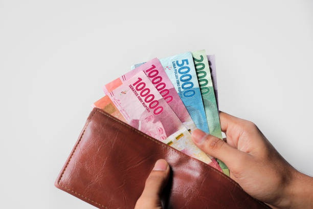 cek data DTSEN online