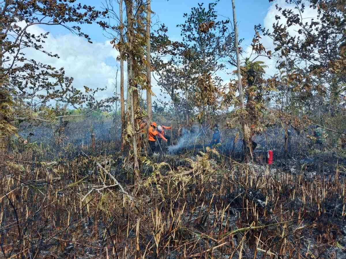 Karhutla Pulau Bakalan Bangkep