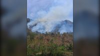 Karhutla Hutan Longge