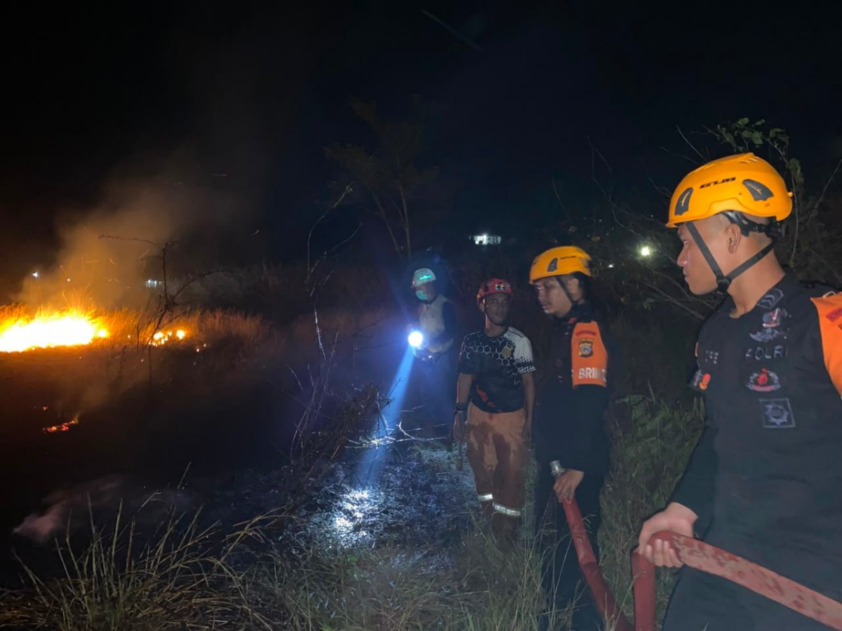 Kebakaran Lahan Tentena