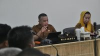 Implementasi e-Gov Palu