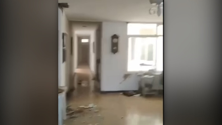 Gempa Kolombia Selamatkan Anjing
