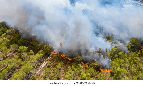 kebakaran Gunung Nona Enrekang