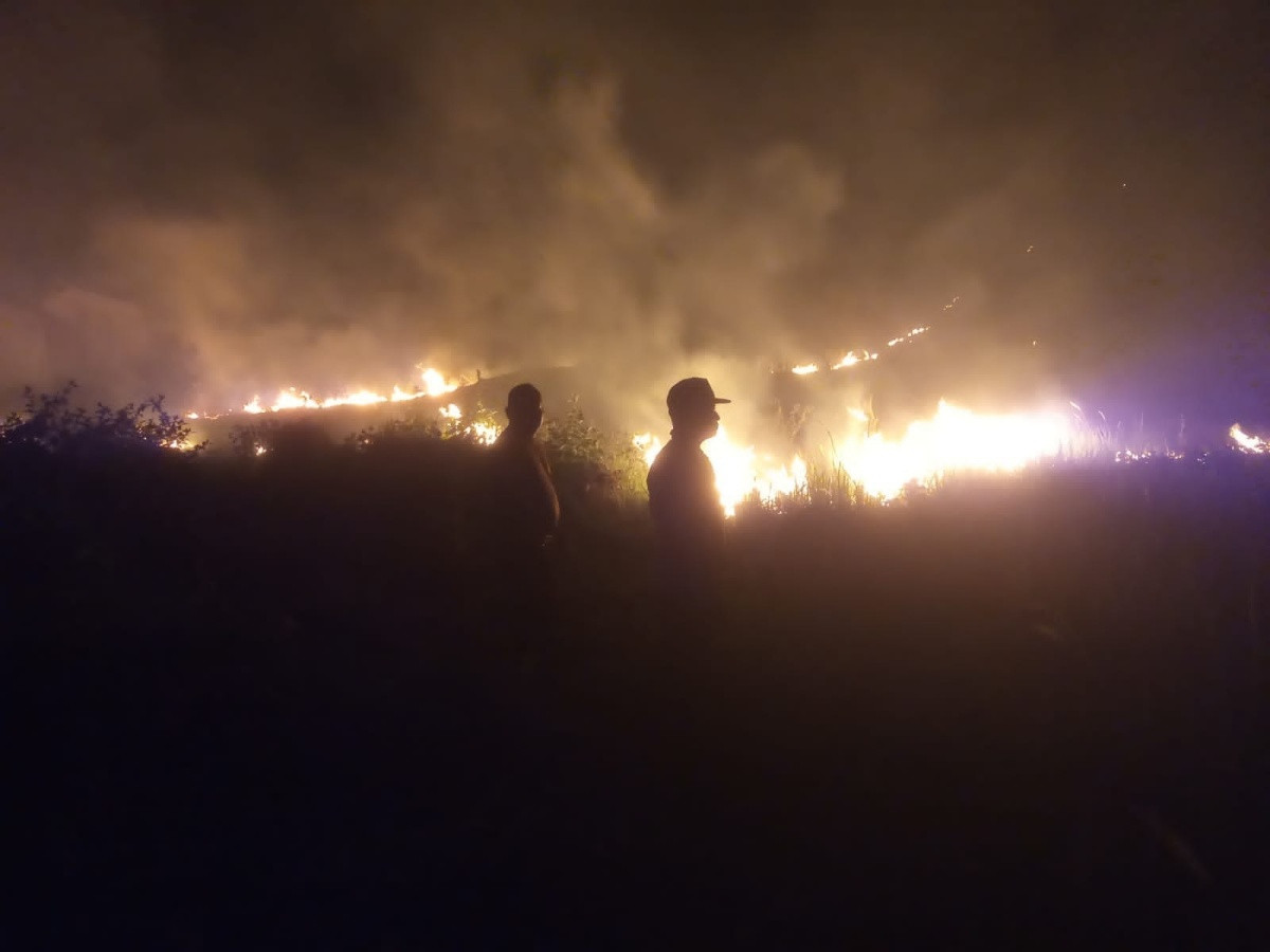 Karhutla Gunung Kalendeng