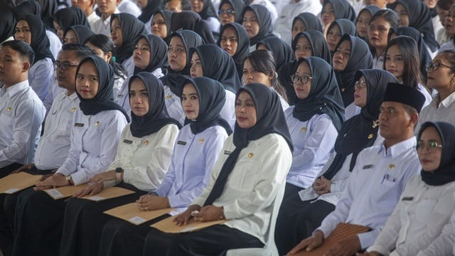 penataan PPPK
