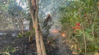 Kebakaran Lahan Malotong
