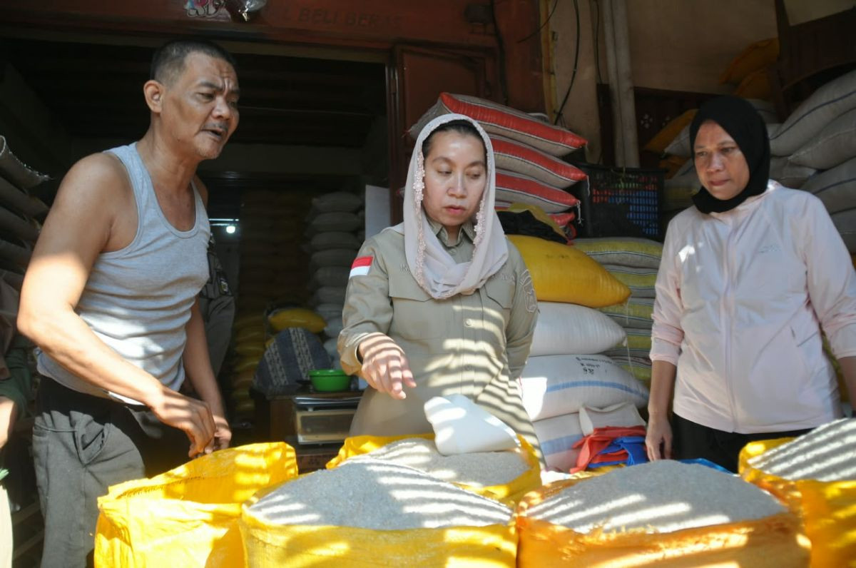 Harga Beras Palu