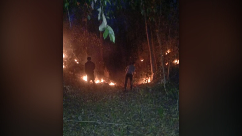 Kebakaran Lahan Bolano Barat