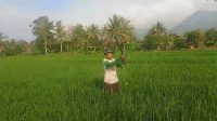 kekeringan Parigi Moutong