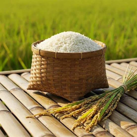 cara menyimpan beras agar tidak berkutu