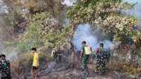 kebakaran perkebunan cengkeh