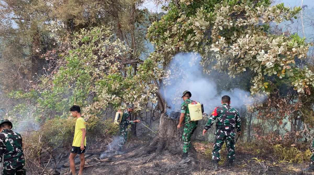 kebakaran perkebunan cengkeh