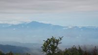 Jalur Pendakian Gunung Gawalise Ditutup