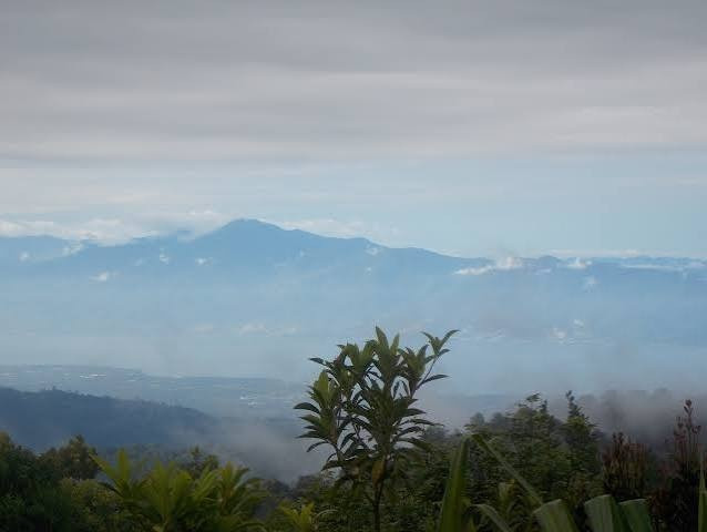 Jalur Pendakian Gunung Gawalise Ditutup