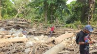 Banjir Toboli Barat Krisis Air Bersih