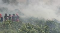 kebakaran hutan Morowali Utara