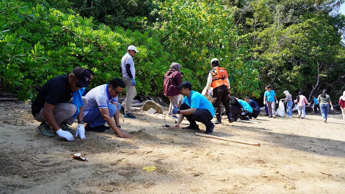 rehabilitasi mangrove dan lamun
