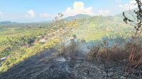 upload-1788176050986 lahan terbakar Tolitoli