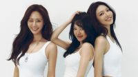 Girls' Generation HyoRiSoo Debut