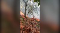 Karhutla Sausu Parigi Moutong