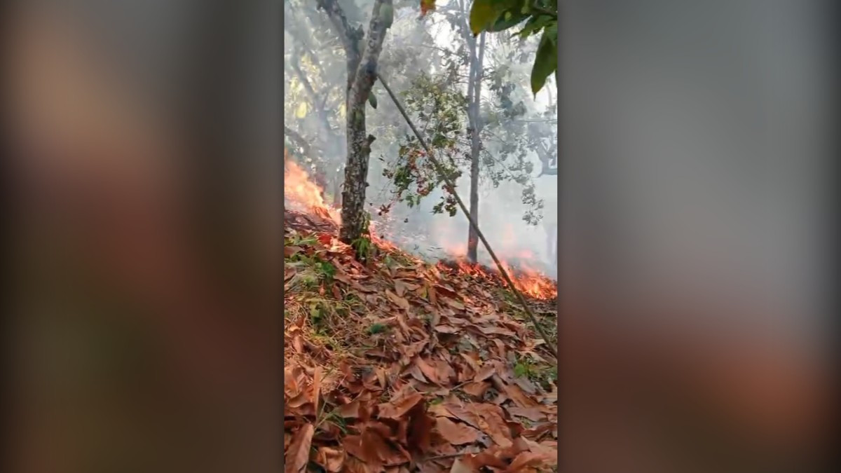 Karhutla Sausu Parigi Moutong