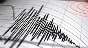 Gempa Maluku Barat Daya