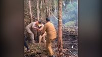 Gubernur Kalteng nyaris terjatuh