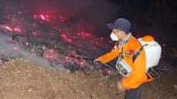 Kebakaran Hutan Poso