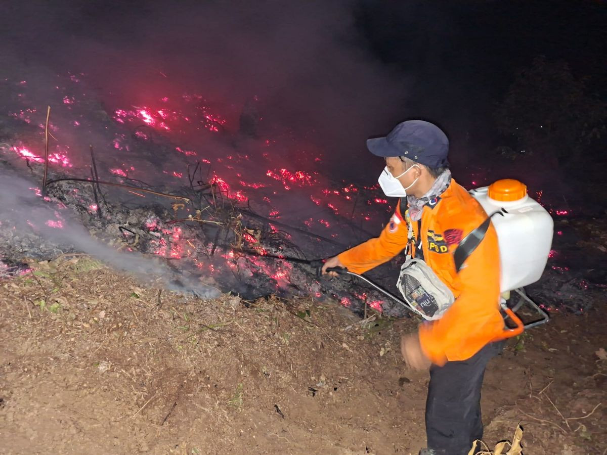 Kebakaran Hutan Poso