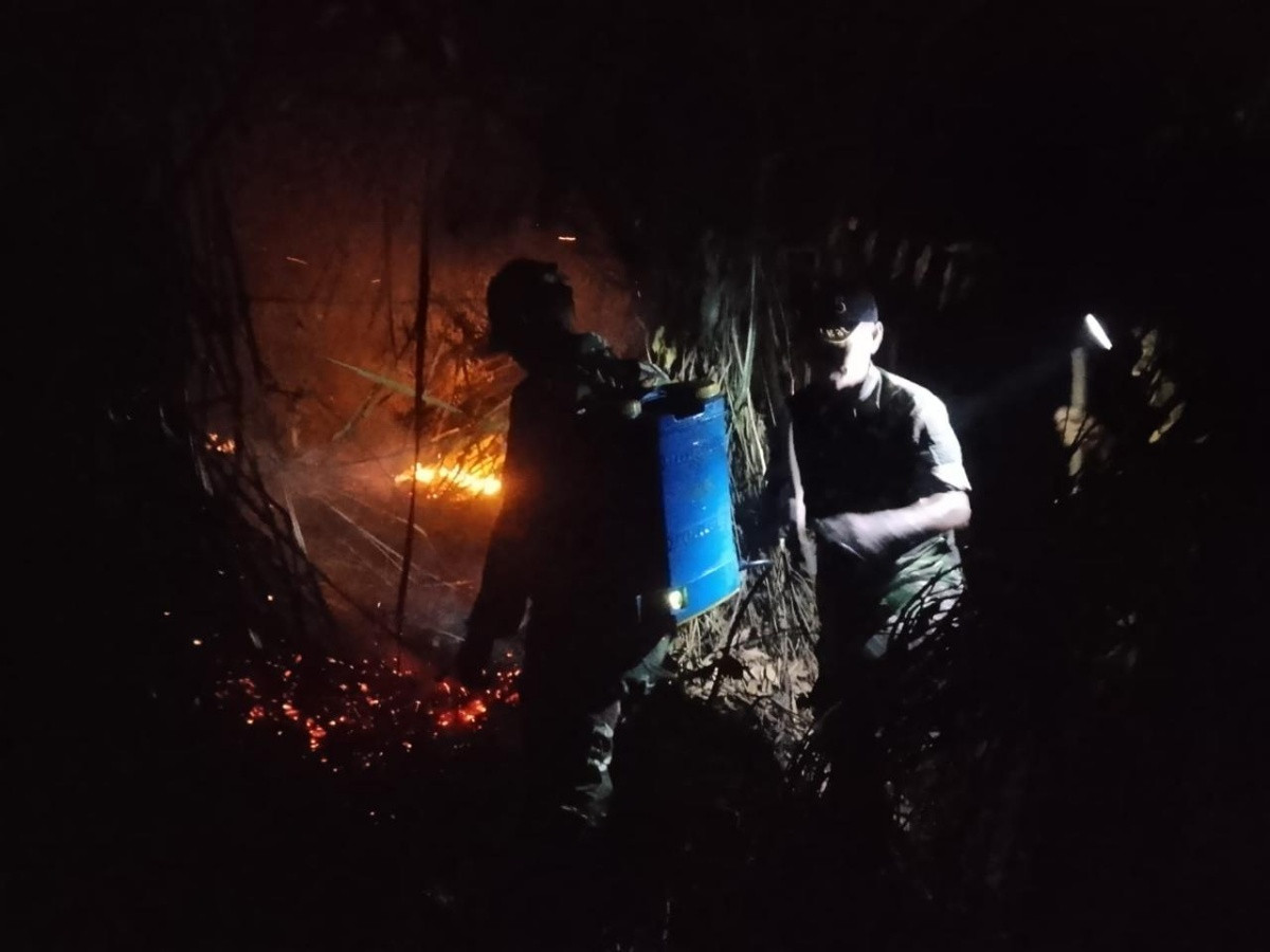 kebakaran lahan Buol