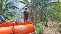 upload-1788587223807 kebakaran hutan Buol