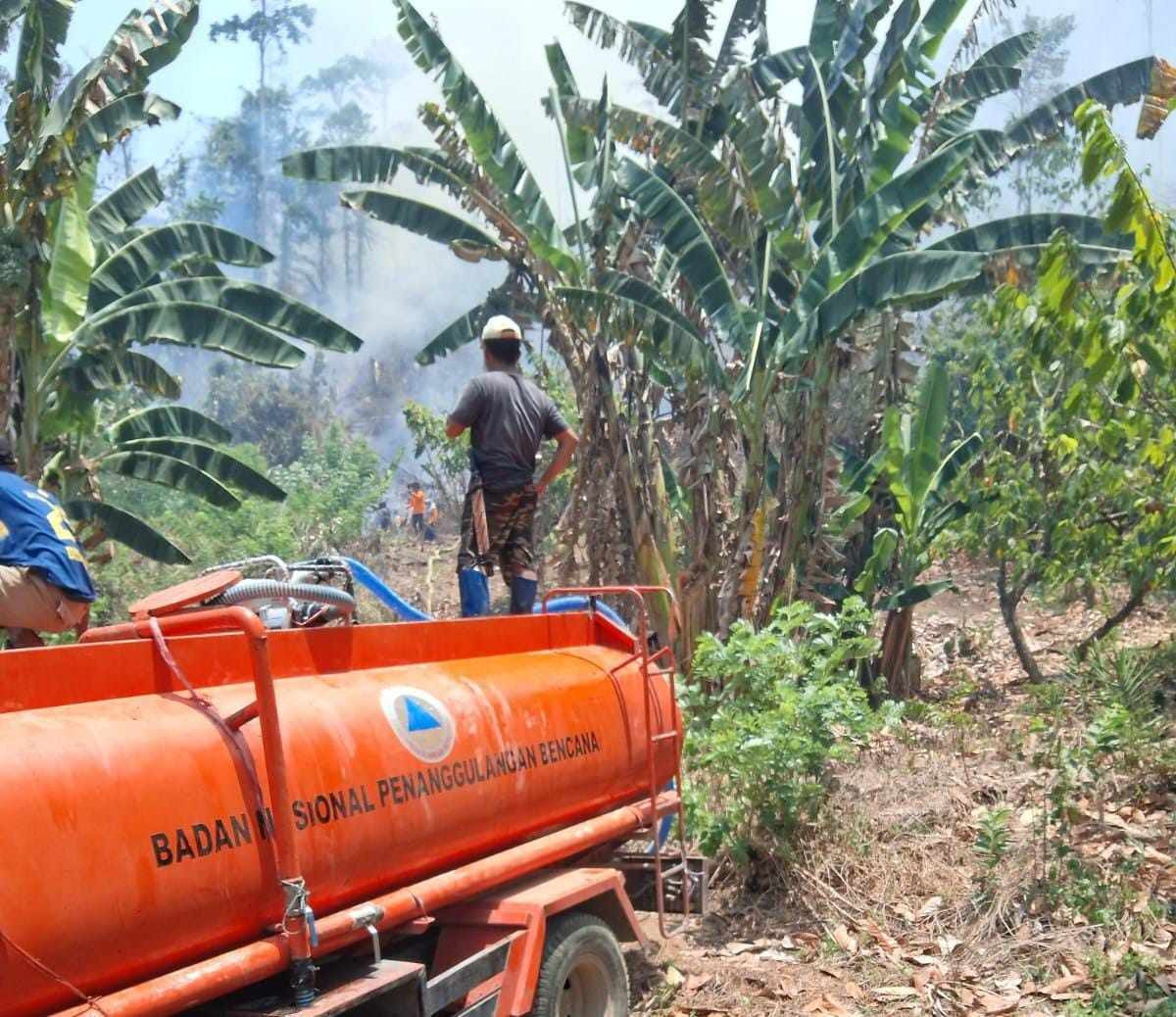 kebakaran hutan Buol