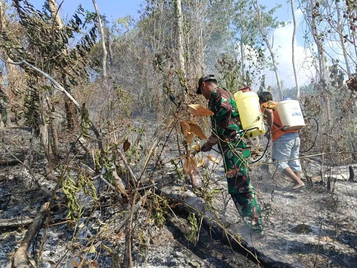 kebakaran lahan sawit
