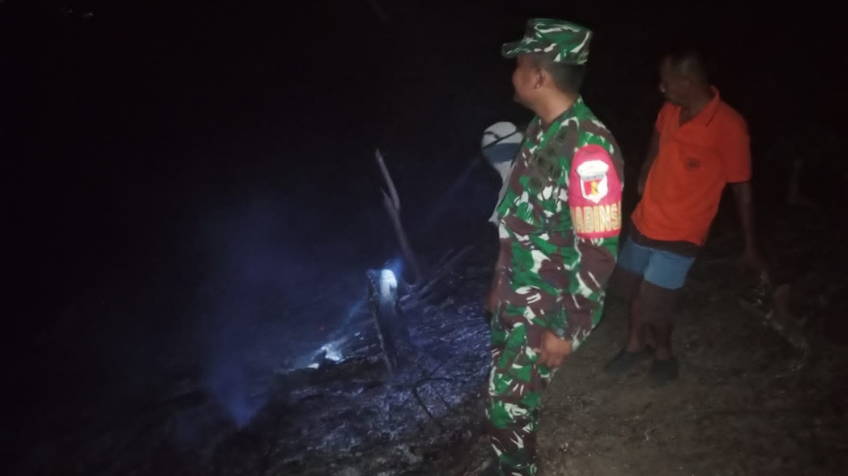 kebakaran hutan dan lahan