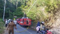 upload-1788866499329 kebakaran hutan Luwuk Banggai