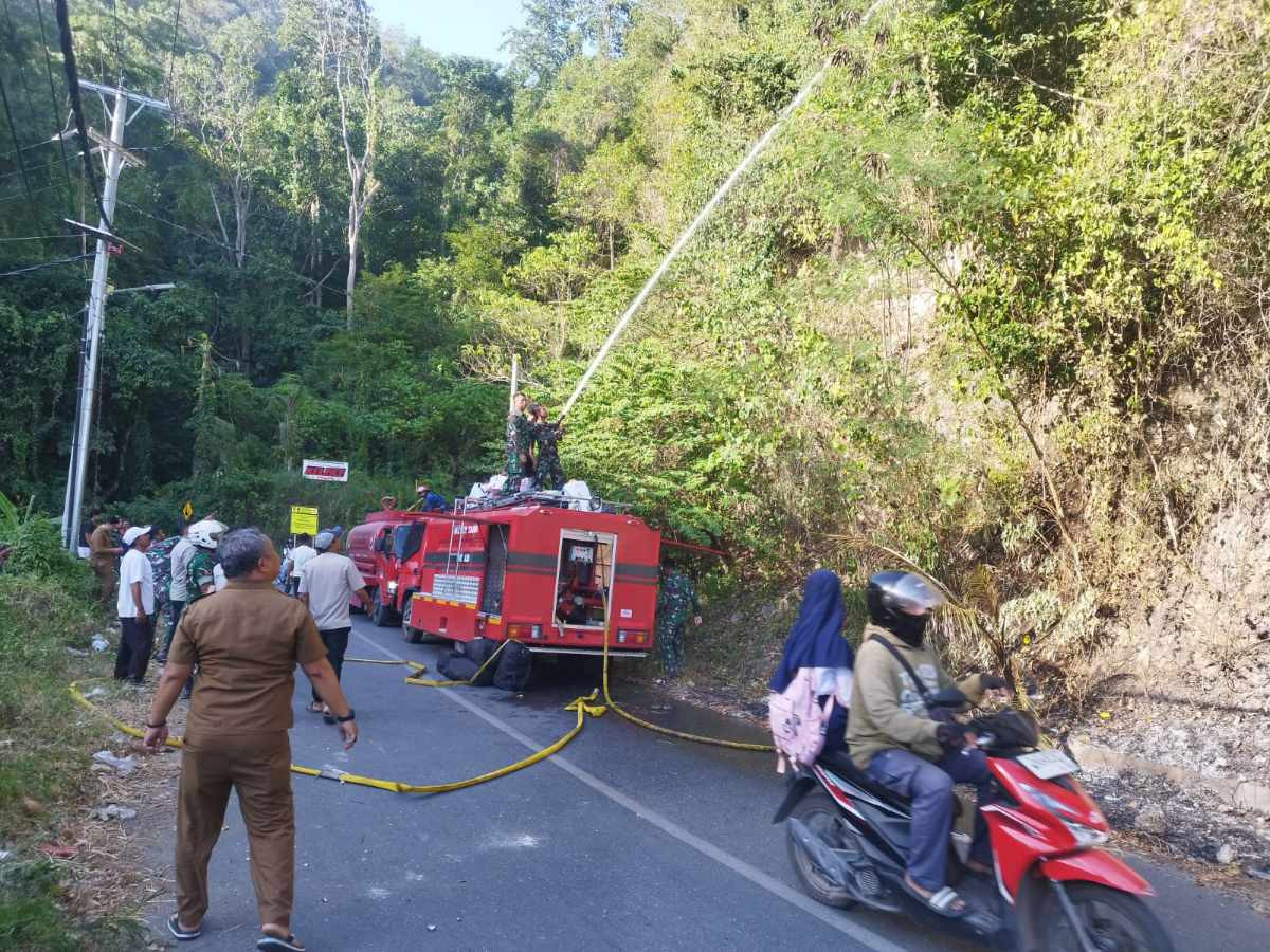 kebakaran hutan Luwuk Banggai