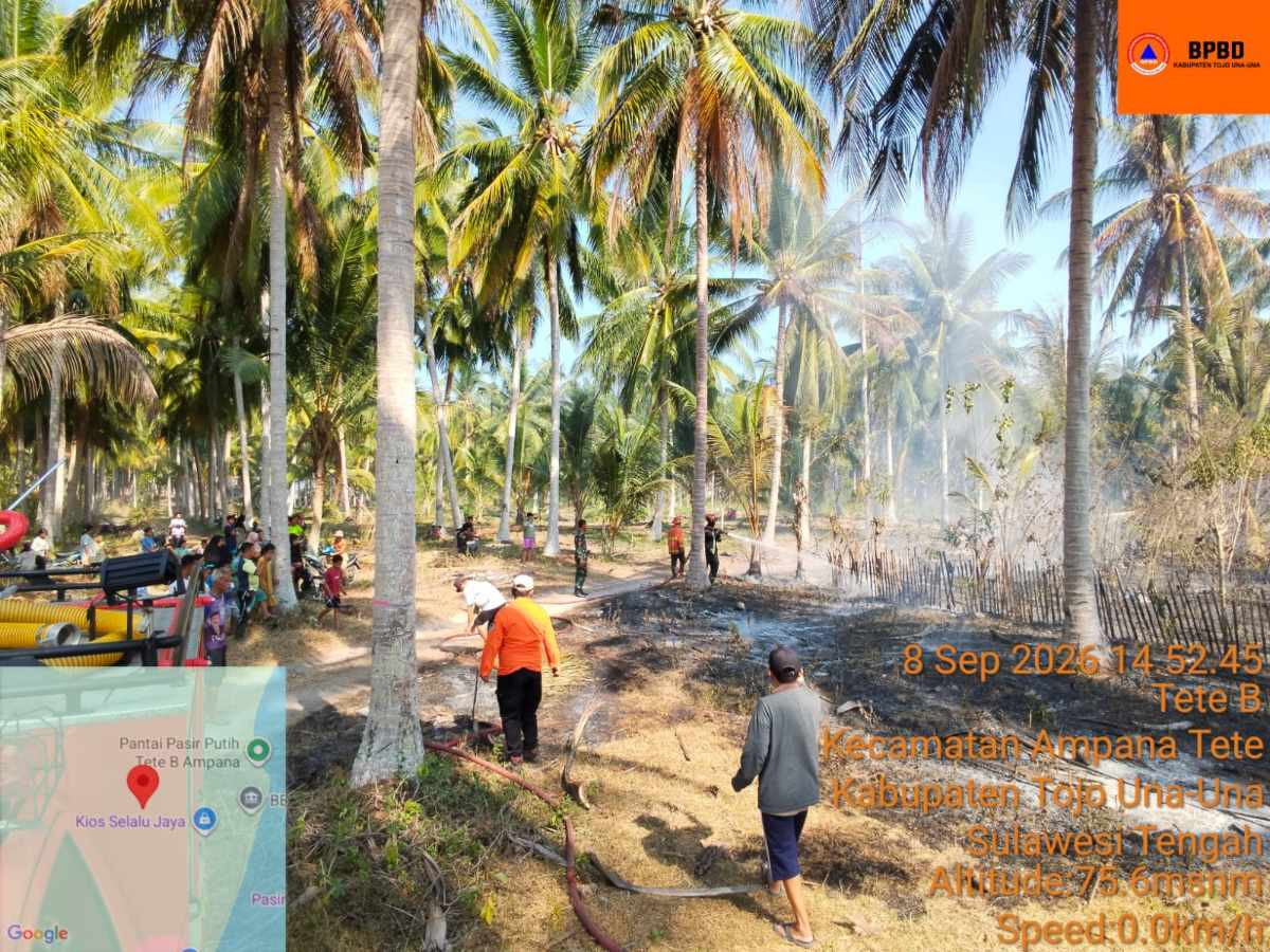 Kebakaran Hutan Lahan Ampana Tete