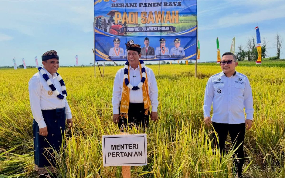Toili Percontohan Pertanian Modern