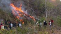 Kebakaran Hutan dan Lahan Tojo Una-Una