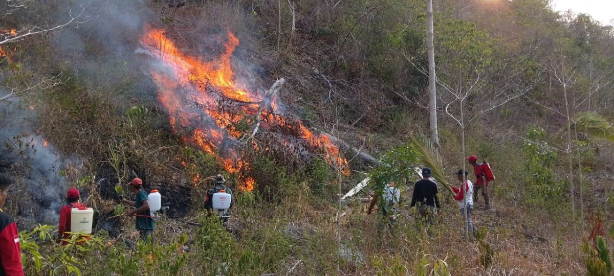 Kebakaran Hutan dan Lahan Tojo Una-Una